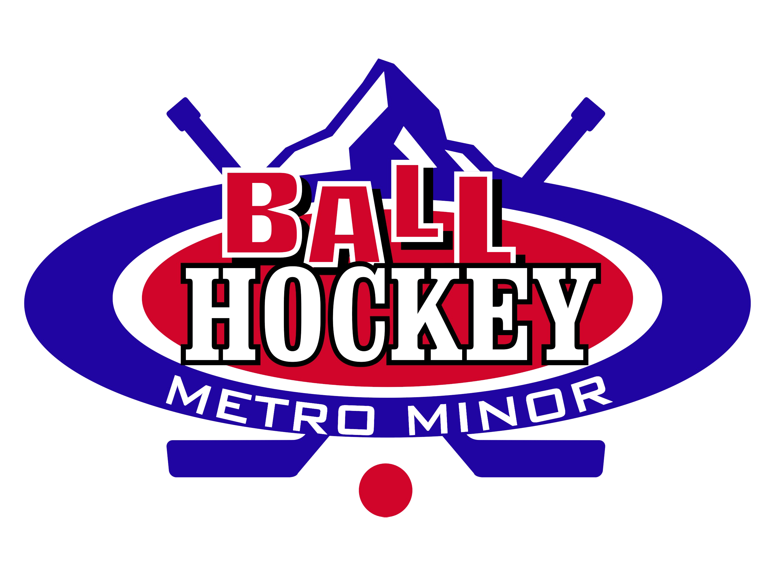 Metro Minor Ball Hockey